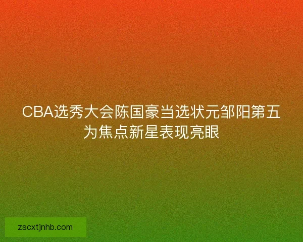 CBA选秀大会陈国豪当选状元邹阳第五为焦点新星表现亮眼