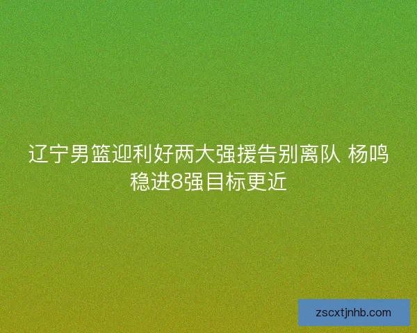 辽宁男篮迎利好两大强援告别离队 杨鸣稳进8强目标更近 辽宁男篮迎利好两大强援告别离队 杨鸣稳进8强目标更近